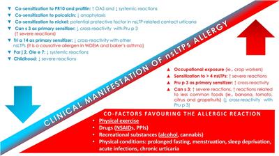 Factors and co-factors influencing clinical manifestations in nsLTPs allergy: between the good and the bad